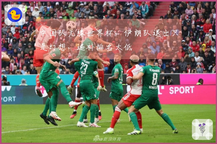 中国队无缘世界杯，伊朗队退出只是幻想，递补排名太低