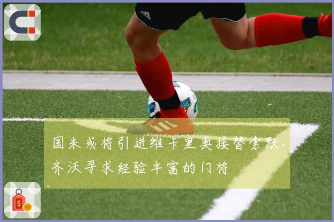 国米或将引进维卡里奥接替索默，齐沃寻求经验丰富的门将