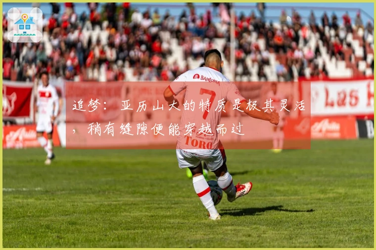 追梦：亚历山大的特质是极其灵活，稍有缝隙便能穿越而过